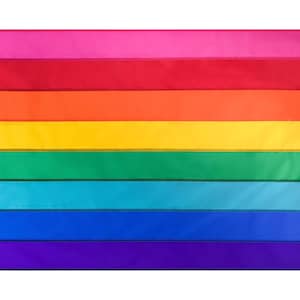 Puede incluir: Una bandera rectangular con franjas horizontales en colores del arcoíris: rosa, rojo, naranja, amarillo, verde, turquesa, azul y morado. La bandera tiene un borde blanco en el lado izquierdo con ojales para colgar.