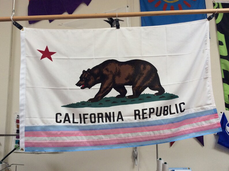 California/Transgender Pride Flag 3' x 5' Blue Pink image 0