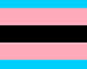 Transgender Pride Flag 3' x 5' Flag, Blue, Pink and Black Flag, Transgender Pride, Custom Sizes Available