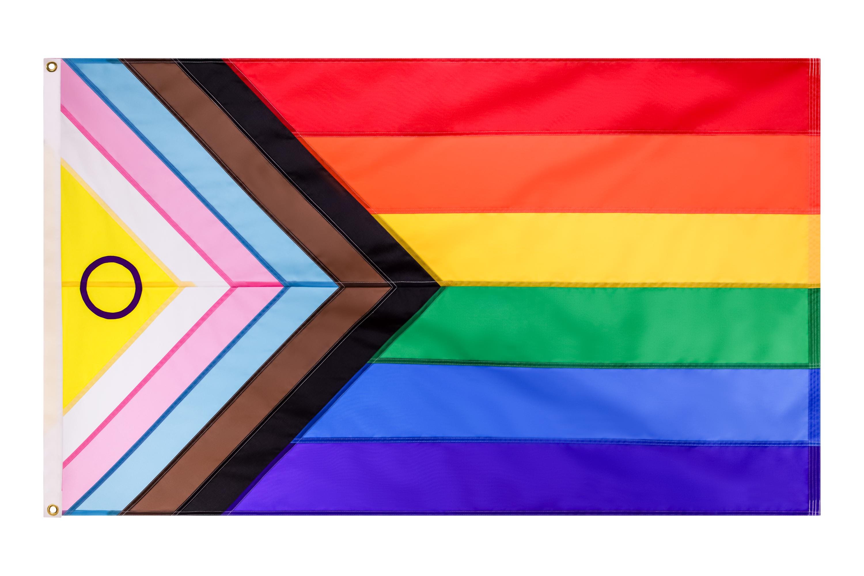 50 Pack Progress Rainbow Pride Flag Small Flag Gay Stick Flag USA - View #9