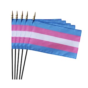 Transgender Hand Flags (Set of Five) - 8''x 12'' Pride Parade Flags