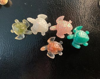 Verschiedene Schildkröten Magnete