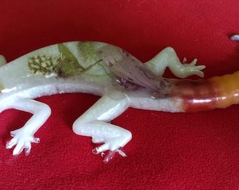 Regenbogen Pride Gecko -getrocknete Blüten innen