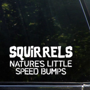May include: White vinyl decal with the text "Squirrels Natures Little Speed Bumps" on a black background.