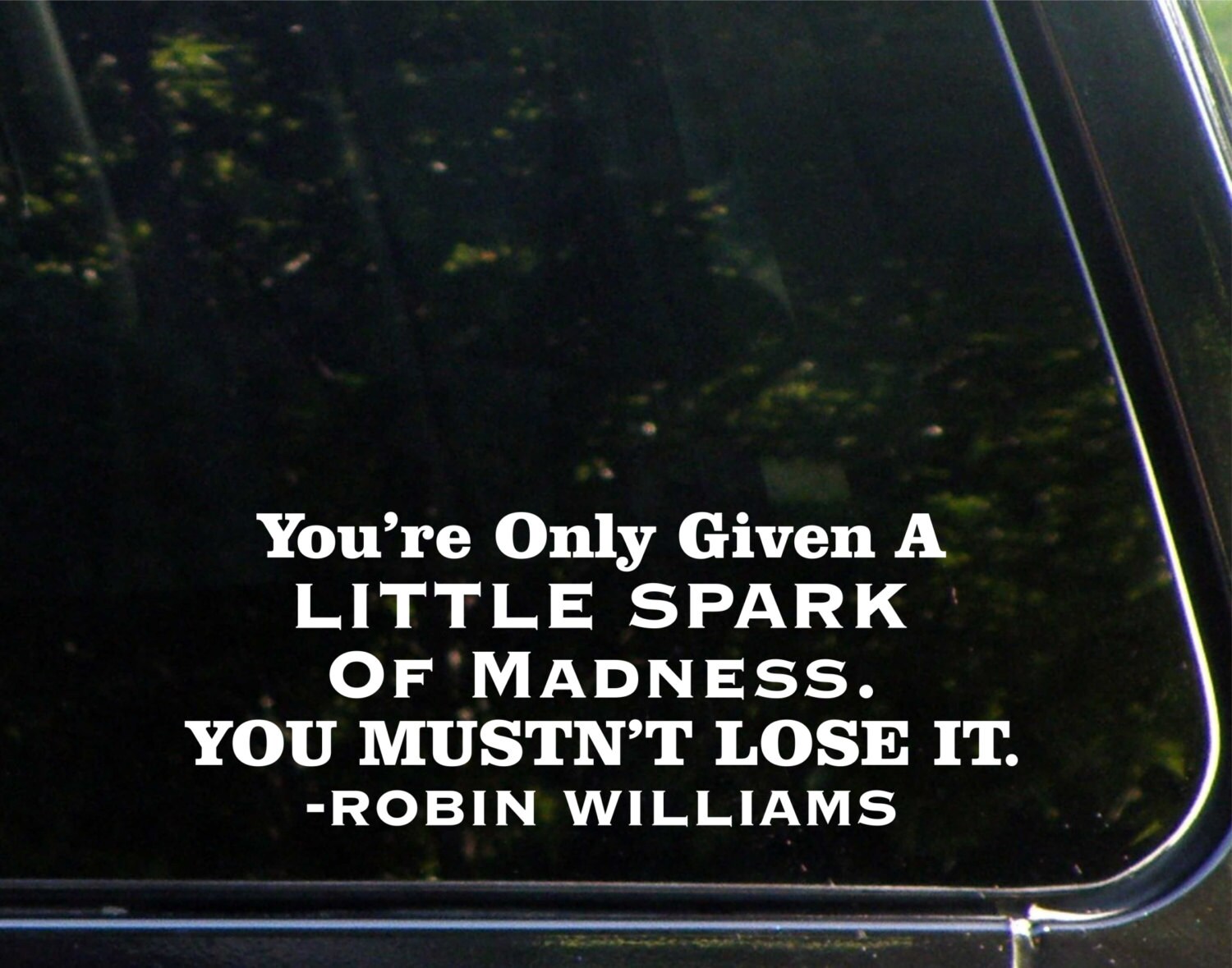 You're Only Given A Little Spark Of Madness. You Mustn't Lose It. Robin Williams Vinyl Decal/ Bumper Sticker for Windows, Macbook, Etc 8174