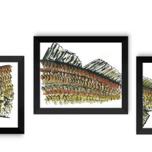 May include: Three black framed prints of redfish illustrations. The first print shows a redfish with its head and upper body visible. The second print shows a redfish with its scales and body visible. The third print shows a redfish with its tail and body visible.