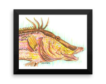 Hogfish Art Print