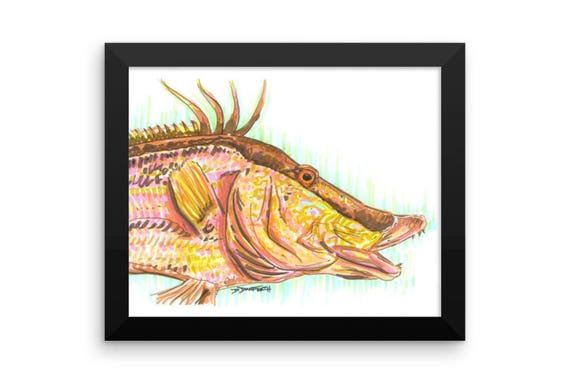 Hogfish Art Print | Etsy