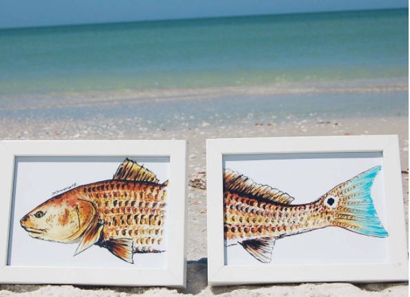 Redfish 2 Piece Set 12x18 - Etsy Israel