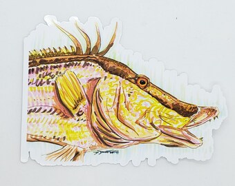 Hogfish Head  - Sticker