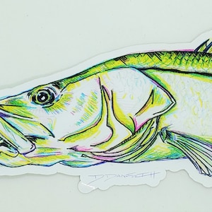 Snook Sketch   - Sticker