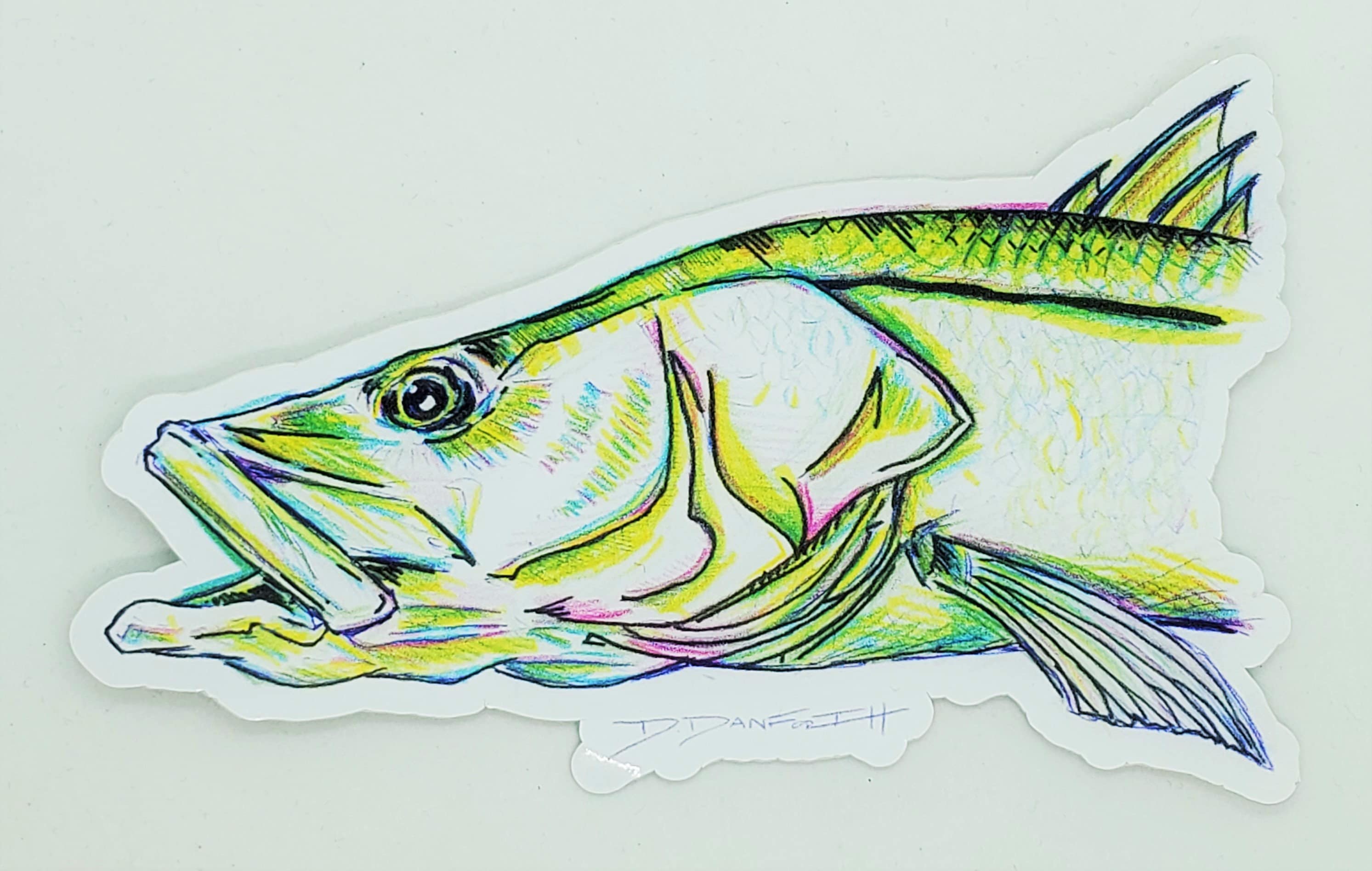 Snook Sketch Sticker Etsy