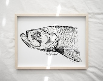 TARPON SKETCHY  - paper print