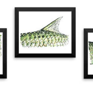 Tarpon Art