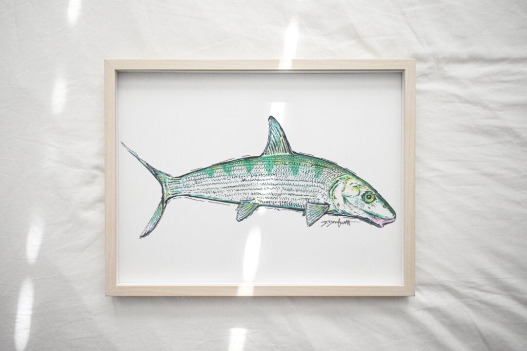 BONEFISH COLOR PENCIL - Paper Print - Etsy