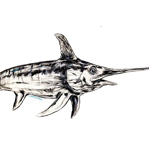 Swordfish - David Danforth - Etsy