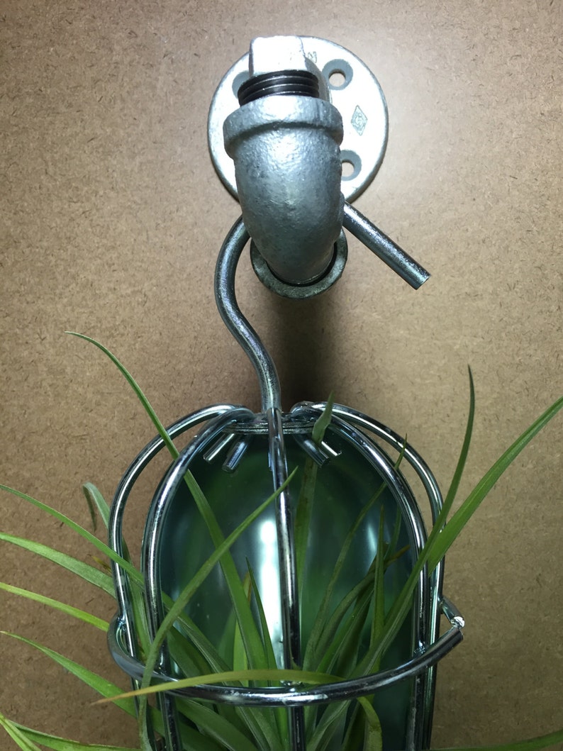 Industrial Styled Bulb Cage With Featured Air Plant Etsy