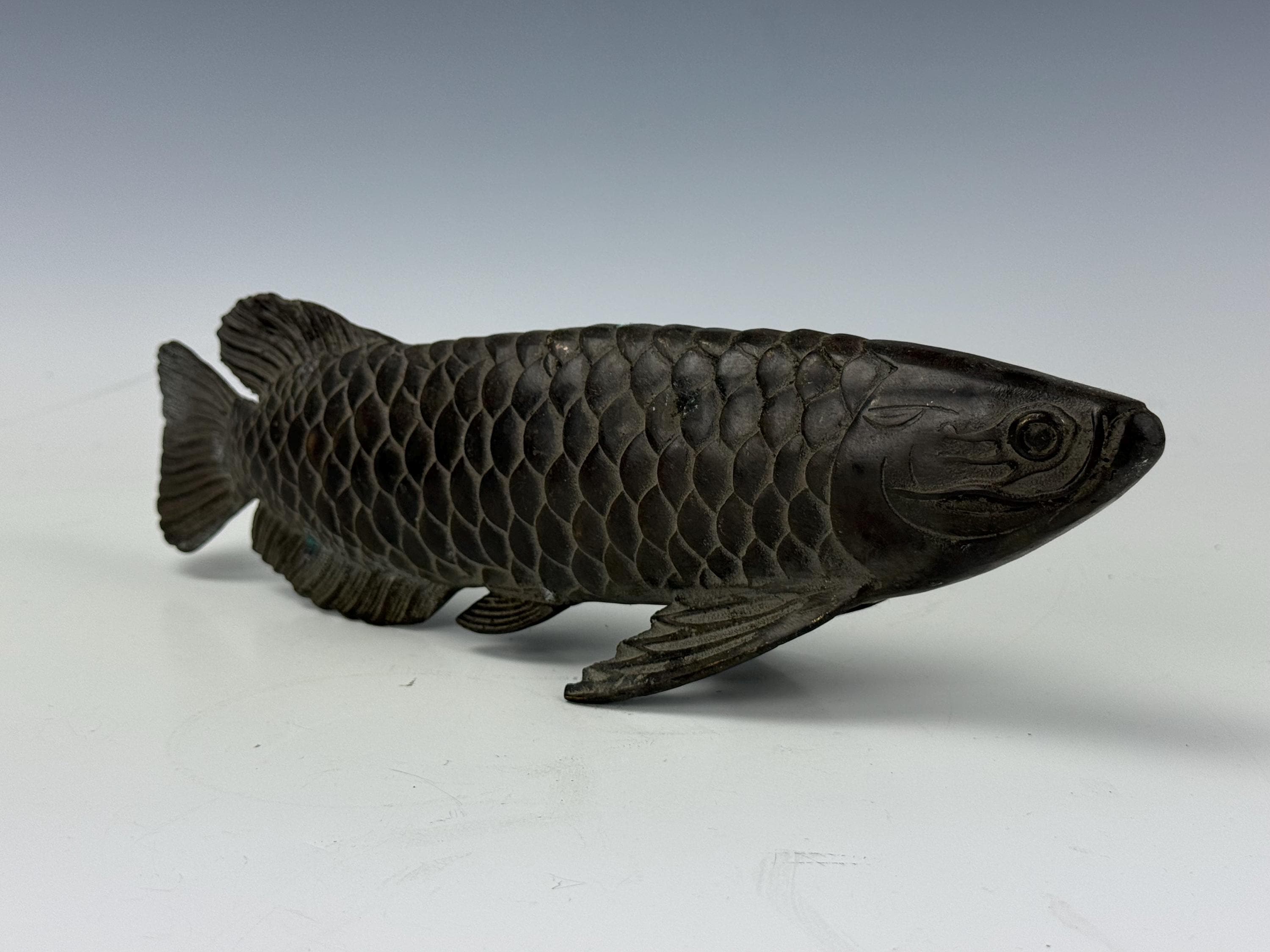 Asian arowana - Etsy 日本
