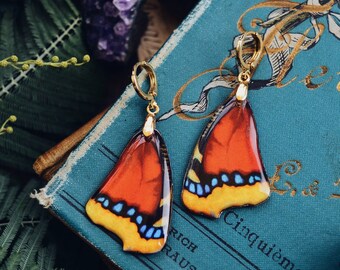 Butterfly wing earrings, resin butterfly earrings, fairy wing earrings, fae earrings, cottagecore earrings, vegan butterfly earrings