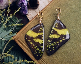 Butterfly wing earrings, resin butterfly earrings, fairy wing earrings, fae earrings, cottagecore earrings, vegan butterfly earrings