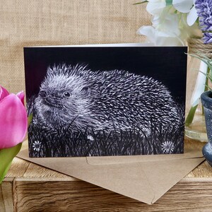 European Hedgehog Greeting Card