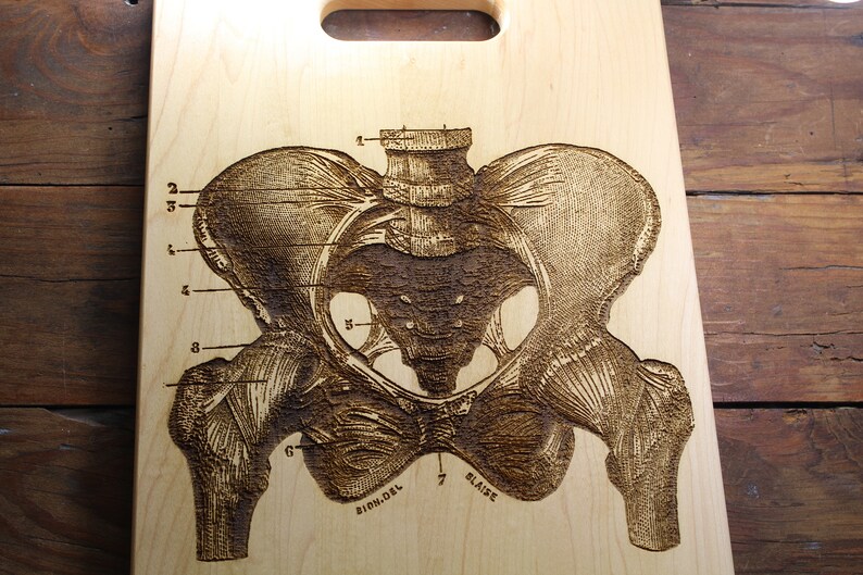 Personalized Pelvis Bone Cutting Board Human Bones Vintage Etsy