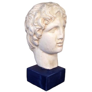 Alexander the Great Macedonian Head - King Of Vergina