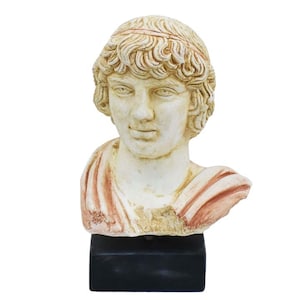 Antinous Bust - Antinoos - Ancient Greece Rome - Emperor Hadrian favorite