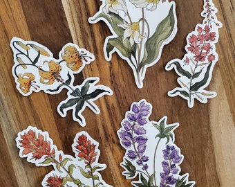 PNW Wildflower Sticker Variety Pack