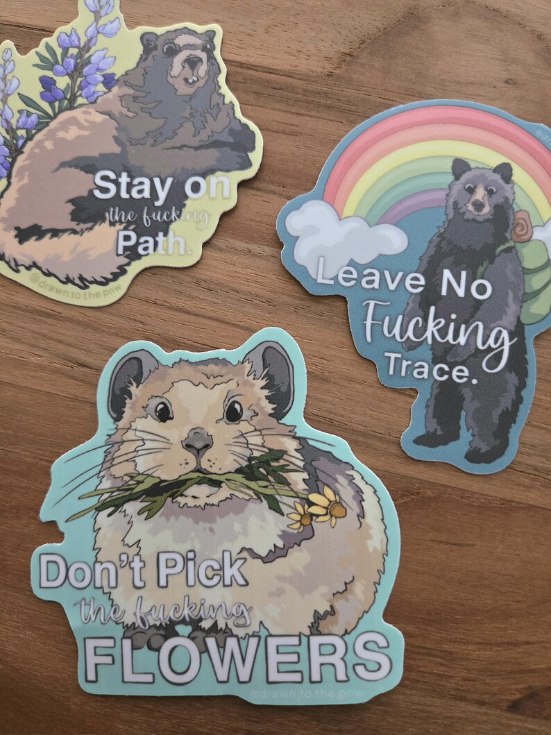 Sticker Path Tracing Leave No Trace Sticker - Pathway Marmot - Etsy