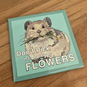 May include: Square magnet with a light teal background featuring a cartoon pika holding flowers in its mouth. The magnet has the text "Don't Pick the fucking FLOWERS" in white and black.
