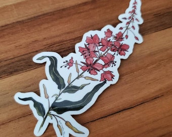 Fireweed Sticker (PNW Wildflower Series,  Watercolor)