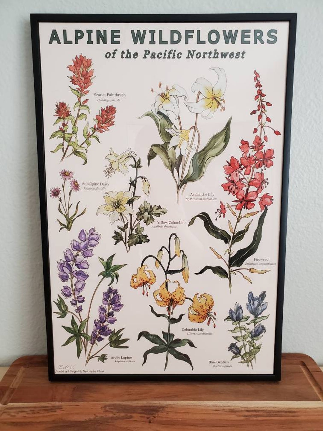 PNW Alpine Wildflower Botanical Fine Art Print - Etsy