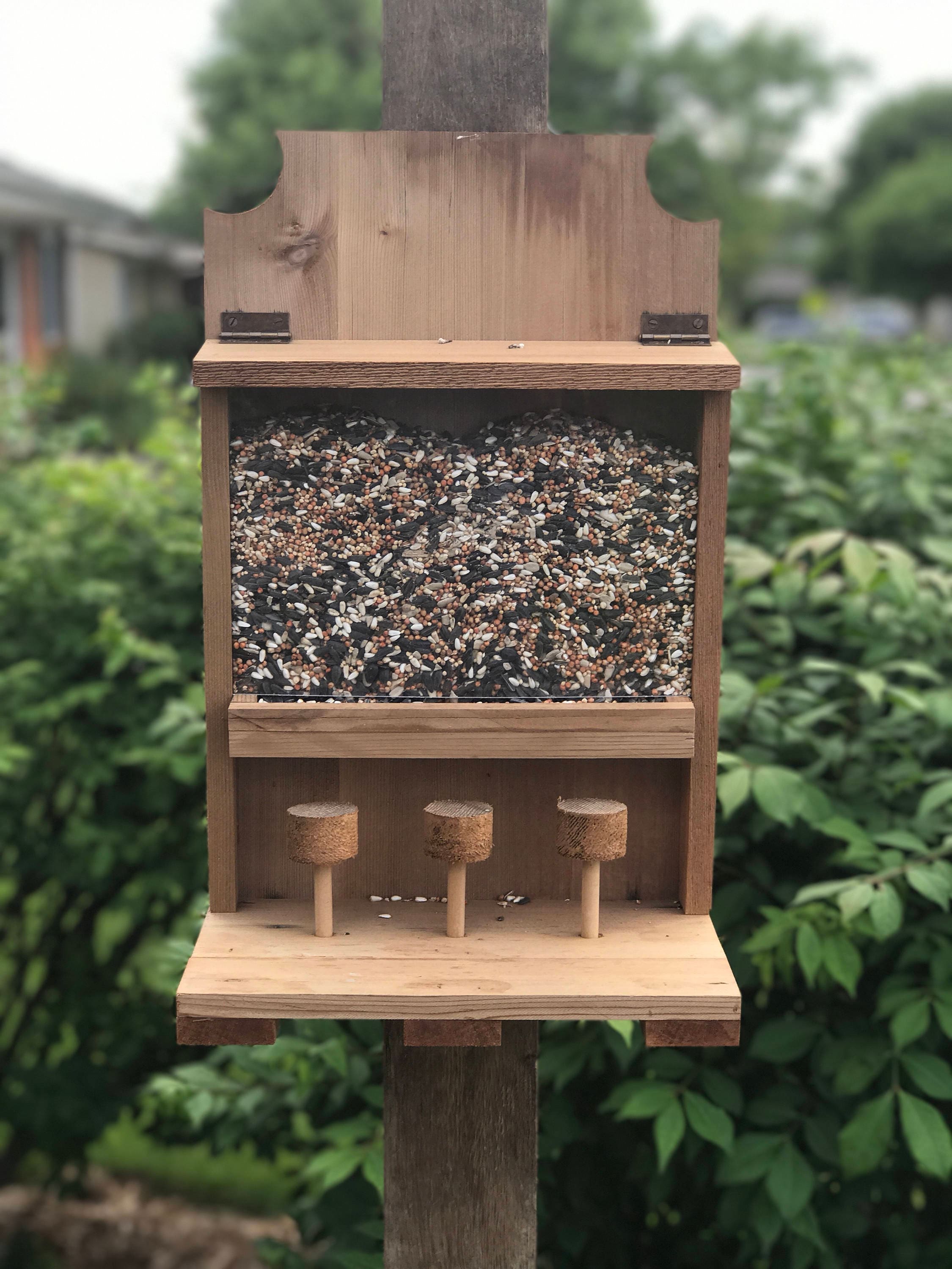 Squirrel feeder saloon Etsy