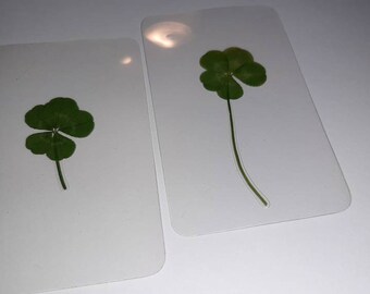 Five Leaf Clover Etsy