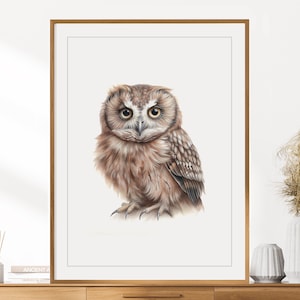 Eulen Druck | Tierportrait | Eule Wandkunst | Kinderzimmer Dekor | Kinderzimmer Wandkunst | Buntstift Zeichnung | Waldtiere