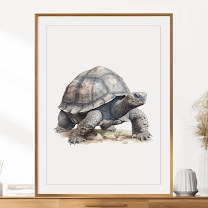 Schildpatt Print | Tierportrait | Schildkröte Wandkunst | Kinderzimmer Dekor | Kinderzimmer Wandkunst | Buntstift Zeichnung | Safaritiere