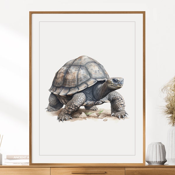 Tortoise Print | Animal Portrait | Tortoise Wall Art | Nursery Decor | Kids Room Wall Art | Colored Pencil Drawing | Safari Animals