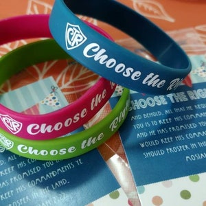 May include: Three colorful silicone bracelets with the text "Choose the Right" and a logo. The bracelets are stacked on top of each other. The text on the bracelets is white.
