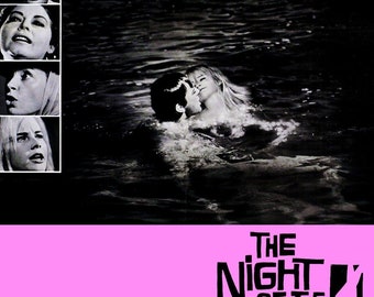 The Night Of The Iguana   (1964)  Richard Burton