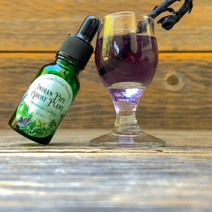 Ghost Pipe Tincture Wildcrafted Indian Pipe Etsy