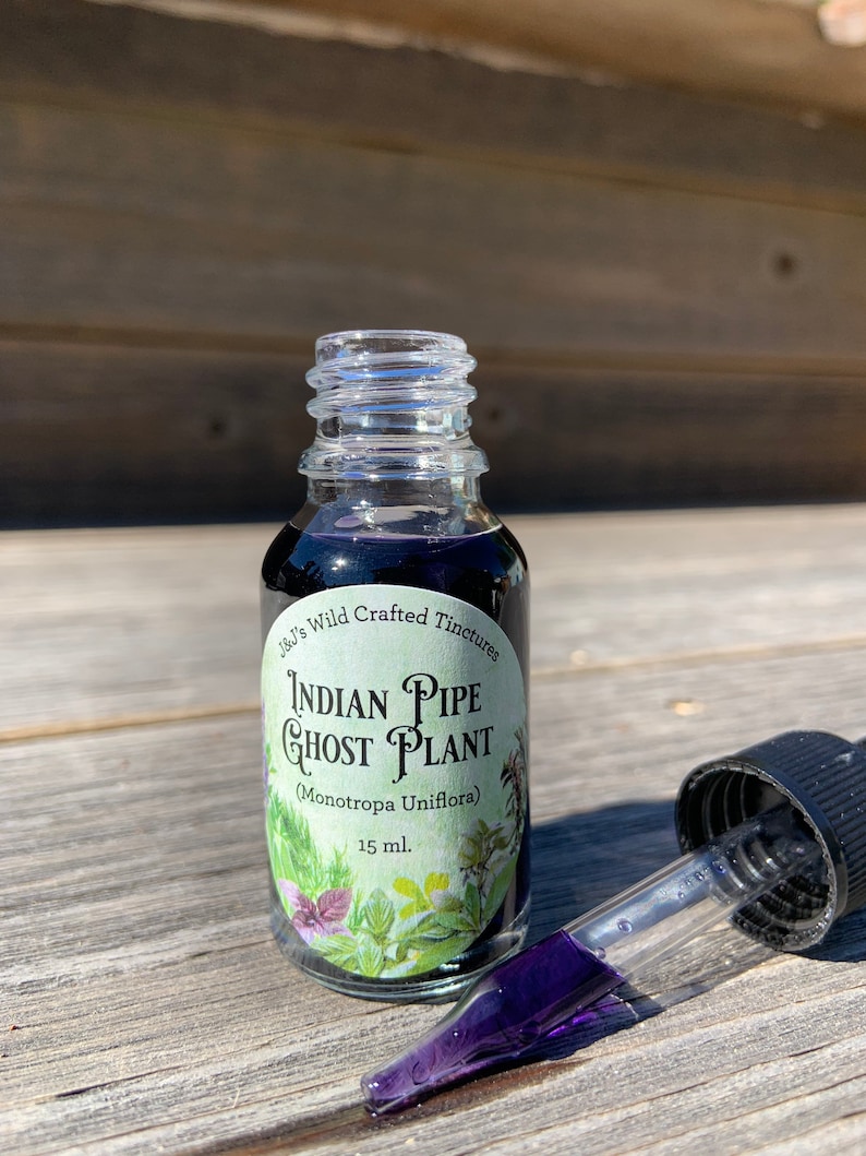 Indian Pipe Ghost Plant Monotropa Uniflora Tincture Drops Etsy