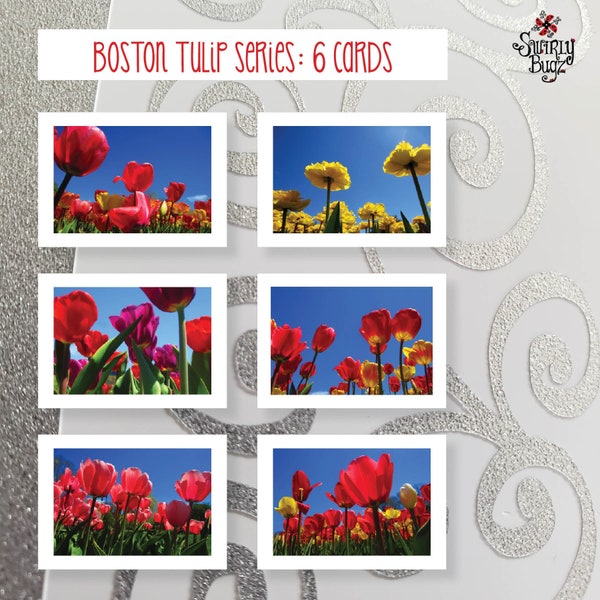 Flower/Tulips Photo Cards, 6 pack