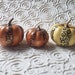 see more listings in the Pumpkins section