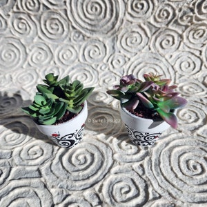 May include: Two small potted succulents with green and purple leaves. The white pots have a black and red decorative design. The background is a textured, off-white surface.