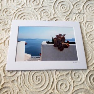 LADYBUGGED PHOTO - Succulent, Oia,  5x7 mat/4x6 photo, hand painted ladybugs, Greece, Santorini
