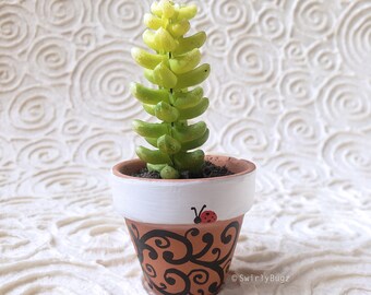 MINI SwirlyBugz Faux Cactus Bunch, terracotta pot, ladybug, swirl