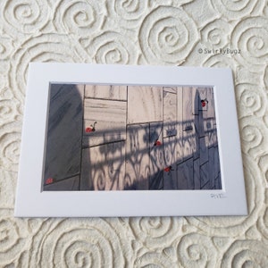 LADYBUGGED PHOTO - Swirly Shadow, 5x7 mat/4x6 photo, hand painted ladybugs, Greece, Santorini