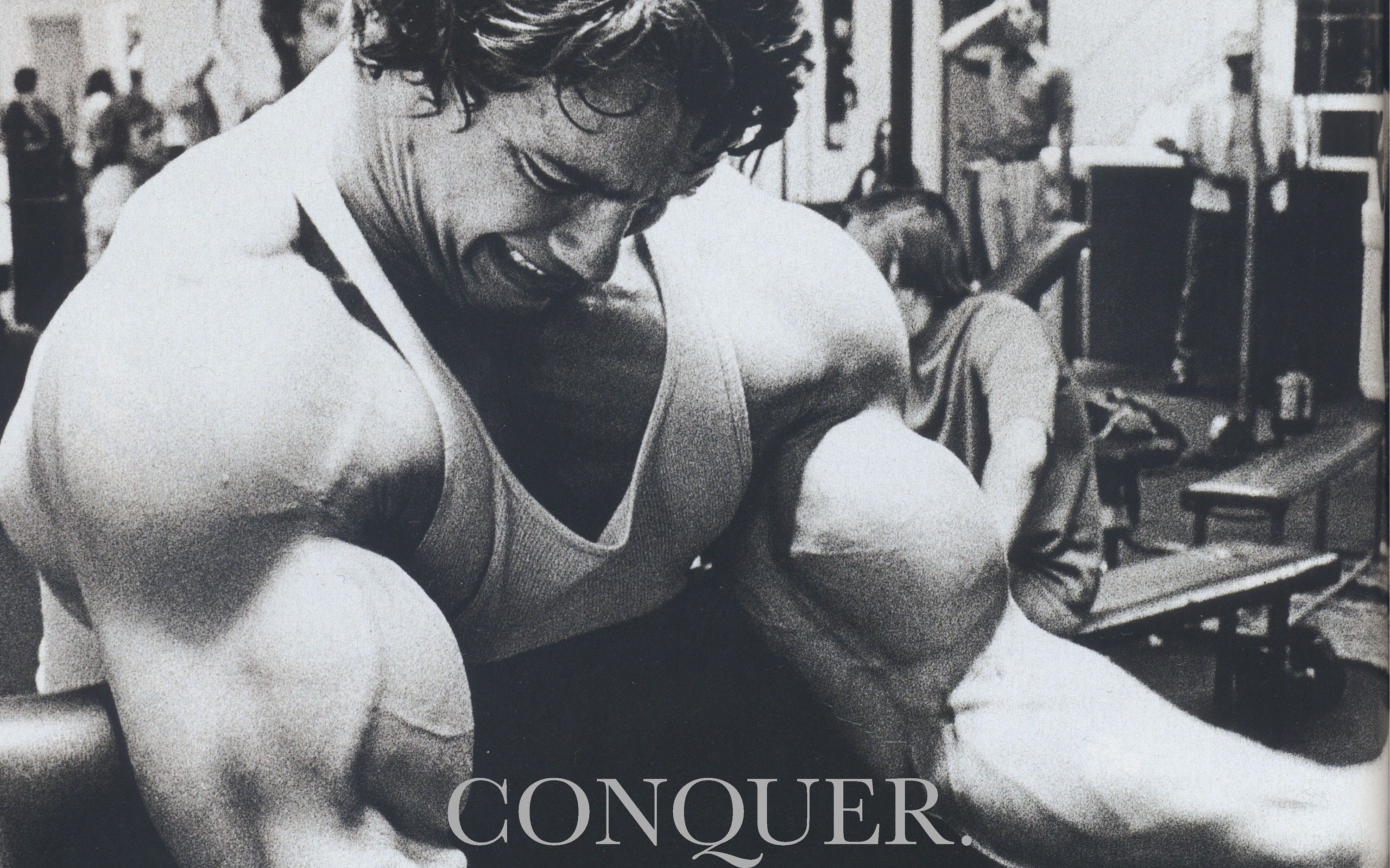 Dekoration Arnold Schwarzenegger Bodybuilding Conquer Fotoposter Grosse A1 A0 Mobel Wohnen privathospital Dk