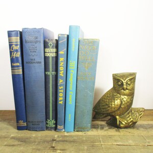 Curated Set of Antique Blue Books. Perfect Blue Decorative Books for a Vintage Office, Farm Style Living Room or Retro Boy&#39;s Nursery!